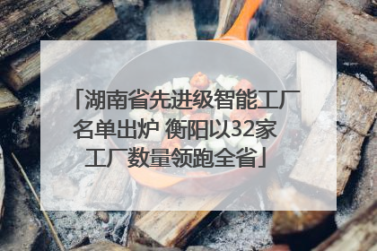湖南省先进级智能工厂名单出炉 衡阳以32家工厂数量领跑全省