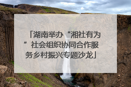 湖南举办“湘社有为”社会组织协同合作服务乡村振兴专题沙龙
