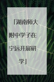 湖南师大附中学子在宁远开展研学