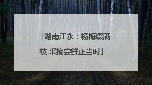 湖南江永：杨梅缀满枝 采摘尝鲜正当时