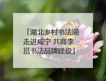 湖北乡村书法潮走进咸宁 共商李邕书法品牌建设