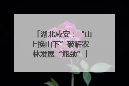 湖北咸安：“山上换山下”破解农林发展“瓶颈”