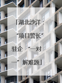 湖北沙洋：“项目警长”驻企 “一对一”解难题