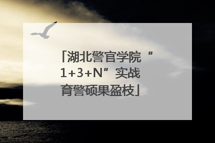 湖北警官学院“1+3+N”实战育警硕果盈枝