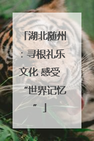 湖北随州：寻根礼乐文化 感受“世界记忆”