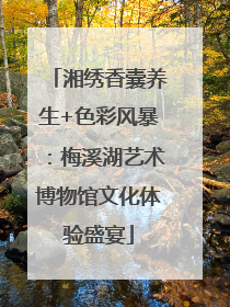 湘绣香囊养生+色彩风暴：梅溪湖艺术博物馆文化体验盛宴