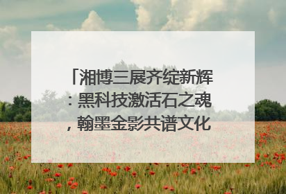 湘博三展齐绽新辉：黑科技激活石之魂，翰墨金影共谱文化遗产日华章
