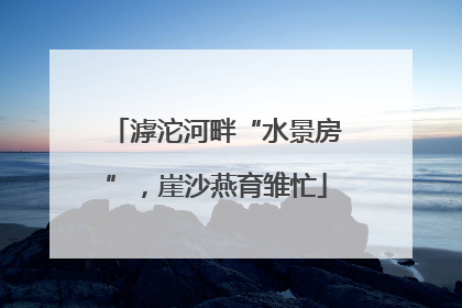 滹沱河畔“水景房”，崖沙燕育雏忙