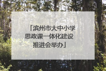 滨州市大中小学思政课一体化建设推进会举办