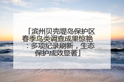 滨州贝壳堤岛保护区春季鸟类调查成果惊艳：多项纪录刷新，生态保护成效显著