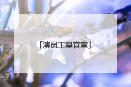演员王星官宣