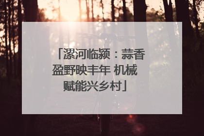 漯河临颍：蒜香盈野映丰年 机械赋能兴乡村