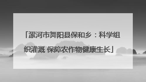 漯河市舞阳县保和乡：科学组织灌溉 保障农作物健康生长