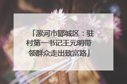 漯河市郾城区：驻村第一书记王元明带领群众走出致富路