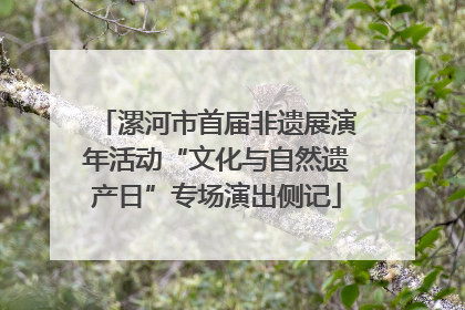 漯河市首届非遗展演年活动“文化与自然遗产日”专场演出侧记