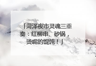 菏泽夜市灵魂三重奏：红柳串、砂锅，烫嘴的馄饨！