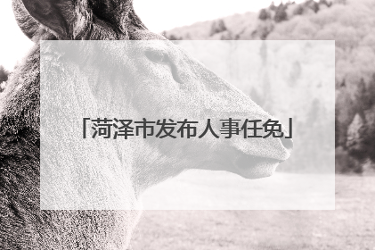 菏泽市发布人事任免