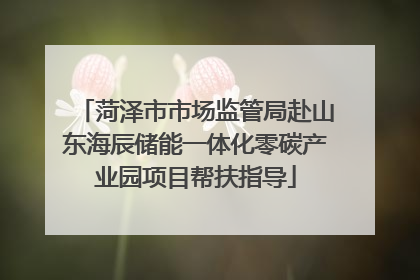 菏泽市市场监管局赴山东海辰储能一体化零碳产业园项目帮扶指导