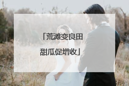 荒滩变良田 甜瓜促增收