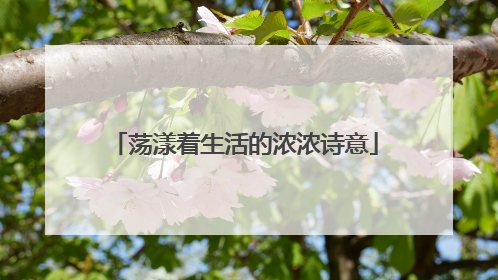 荡漾着生活的浓浓诗意