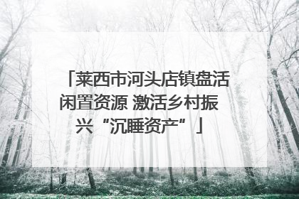 莱西市河头店镇盘活闲置资源 激活乡村振兴“沉睡资产”