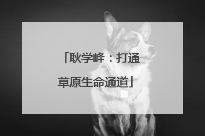 耿学峰：打通草原生命通道