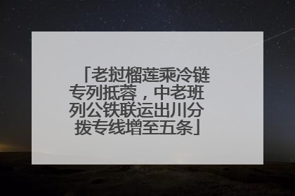 老挝榴莲乘冷链专列抵蓉，中老班列公铁联运出川分拨专线增至五条