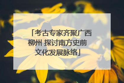 考古专家齐聚广西柳州 探讨南方史前文化发展脉络