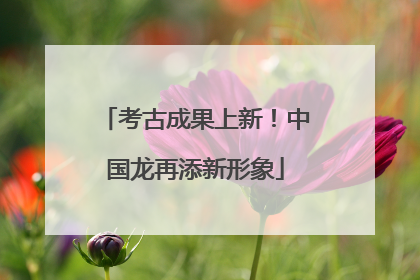 考古成果上新！中国龙再添新形象