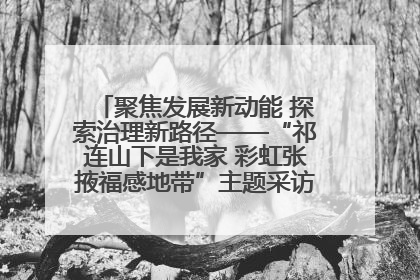 聚焦发展新动能 探索治理新路径——“祁连山下是我家 彩虹张掖福感地带”主题采访活动走进山丹