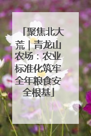 聚焦北大荒｜青龙山农场：农业标准化筑牢全年粮食安全根基