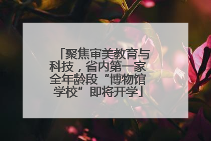 聚焦审美教育与科技，省内第一家全年龄段“博物馆学校”即将开学