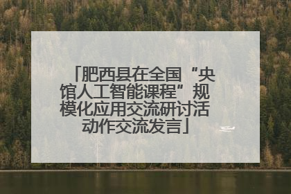 肥西县在全国“央馆人工智能课程”规模化应用交流研讨活动作交流发言