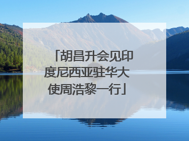 胡昌升会见印度尼西亚驻华大使周浩黎一行