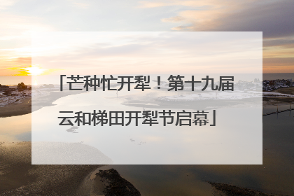 芒种忙开犁！第十九届云和梯田开犁节启幕