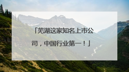芜湖这家知名上市公司，中国行业第一！