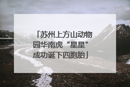 苏州上方山动物园华南虎“星星”成功诞下四胞胎