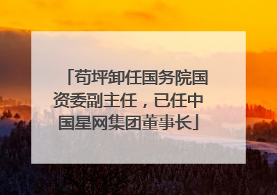 苟坪卸任国务院国资委副主任，已任中国星网集团董事长