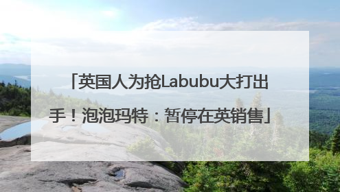 英国人为抢Labubu大打出手！泡泡玛特：暂停在英销售