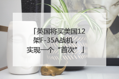 英国将买美国12架F-35A战机，实现一个“首次”