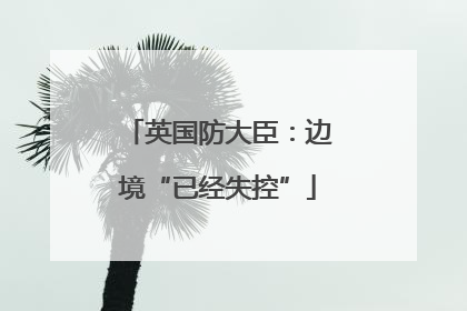 英国防大臣：边境“已经失控”
