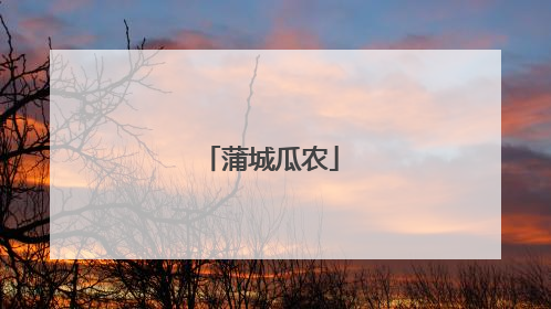 蒲城瓜农