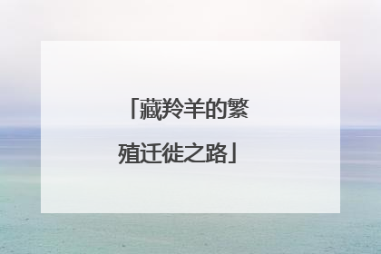 藏羚羊的繁殖迁徙之路