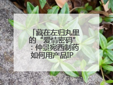 藏在左归丸里的“爱情密码”：仲景宛西制药如何用产品IP讲好品牌故事