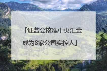 证监会核准中央汇金成为8家公司实控人