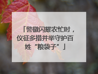 警徽闪耀农忙时，仪征多措并举守护百姓“粮袋子”
