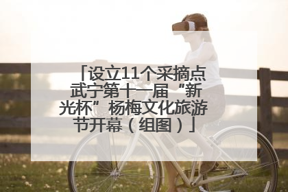 设立11个采摘点 武宁第十一届“新光杯”杨梅文化旅游节开幕（组图）