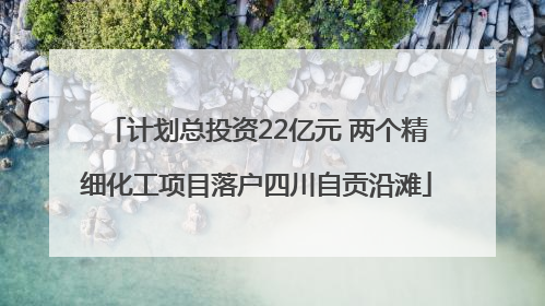 计划总投资22亿元 两个精细化工项目落户四川自贡沿滩