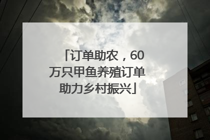 订单助农，60万只甲鱼养殖订单助力乡村振兴