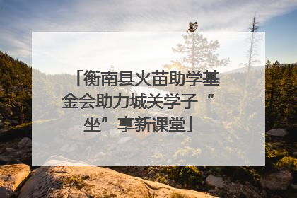 衡南县火苗助学基金会助力城关学子“坐”享新课堂